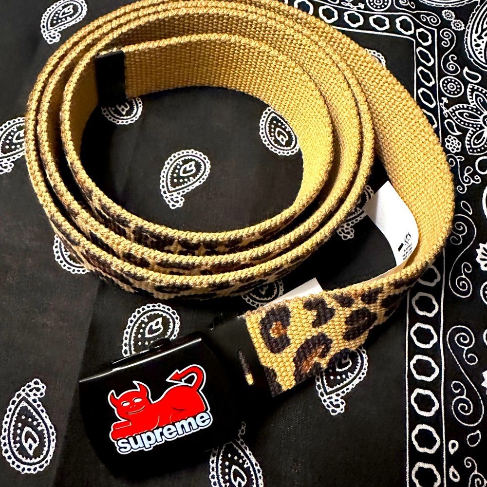 Supreme Toy Machine leopard belt.